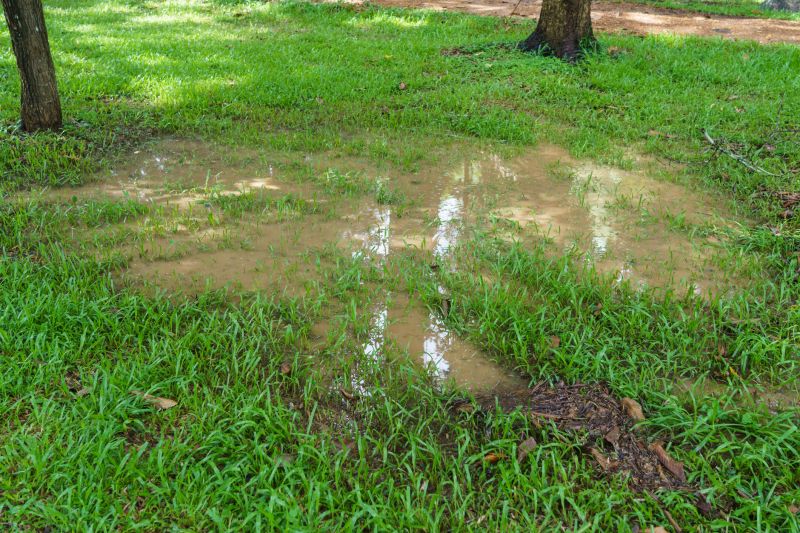 Drainage and Grading