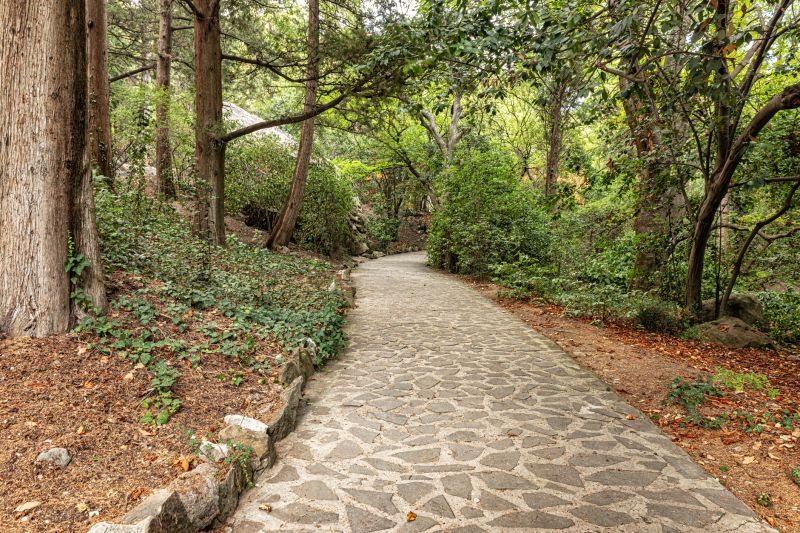 Trail Paving